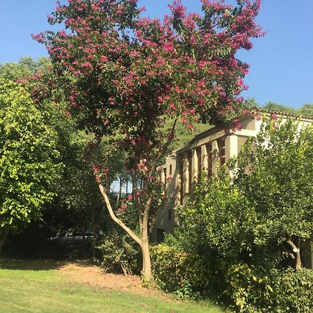 Villa At Tarudhan Valley Golf Resort Manesar Exterior foto